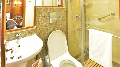 Deccan Odyssey: baño privado